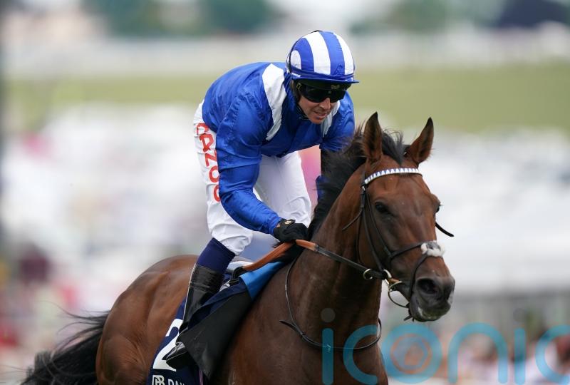 Hukum retired to stand at stud in Japan