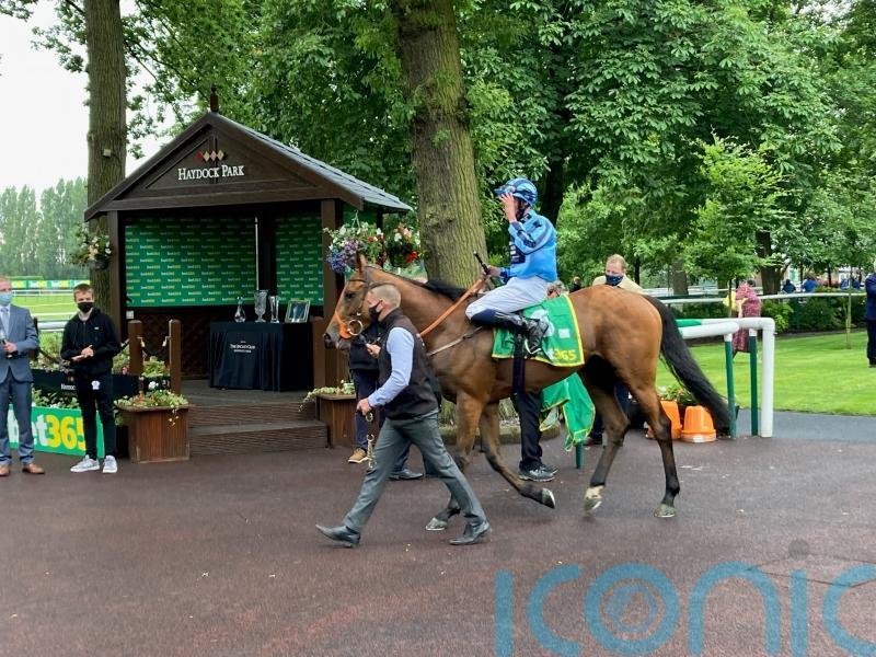 Ellison to consider travel plans for Tashkhan