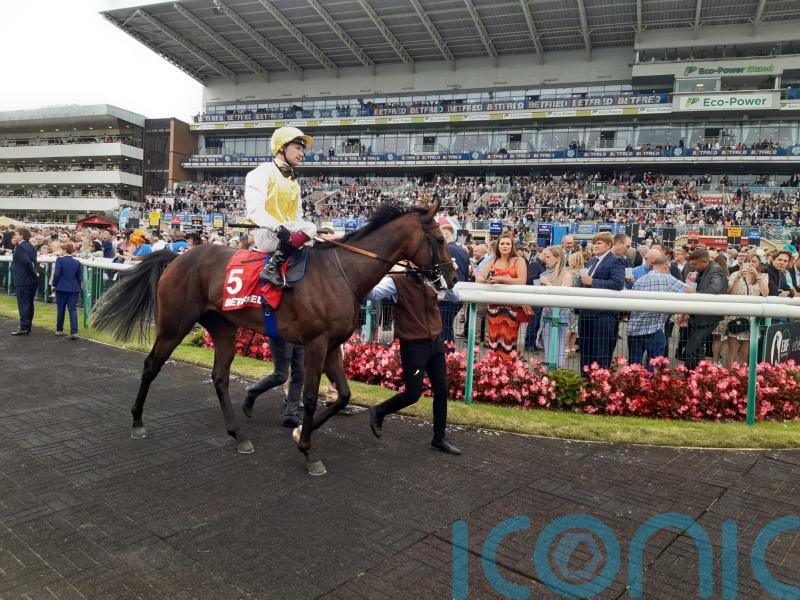 Menuisier back in Group One business with Sunway