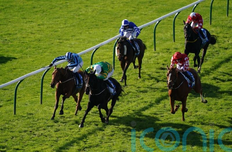 Tashkhan out to replicate Newmarket form in Prix Royal-Oak