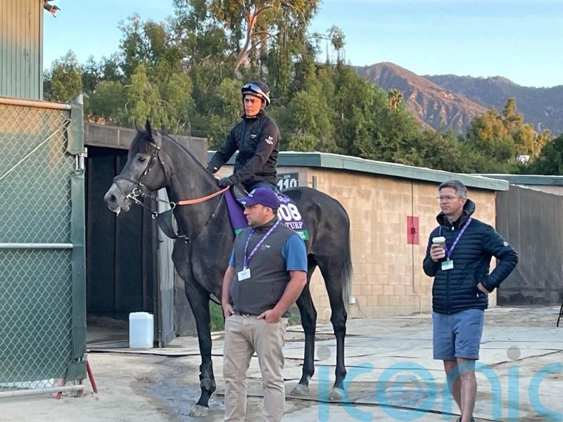 King Of Steel could be Classic-bound this time next year