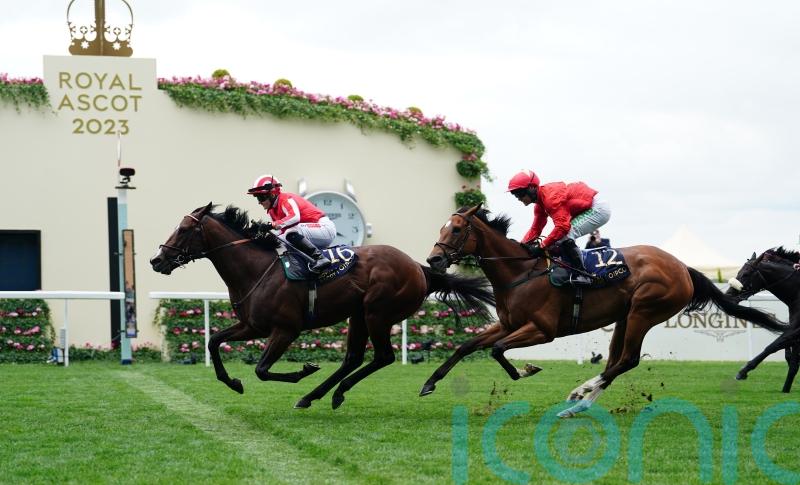 Bradsell scratched from Turf Sprint