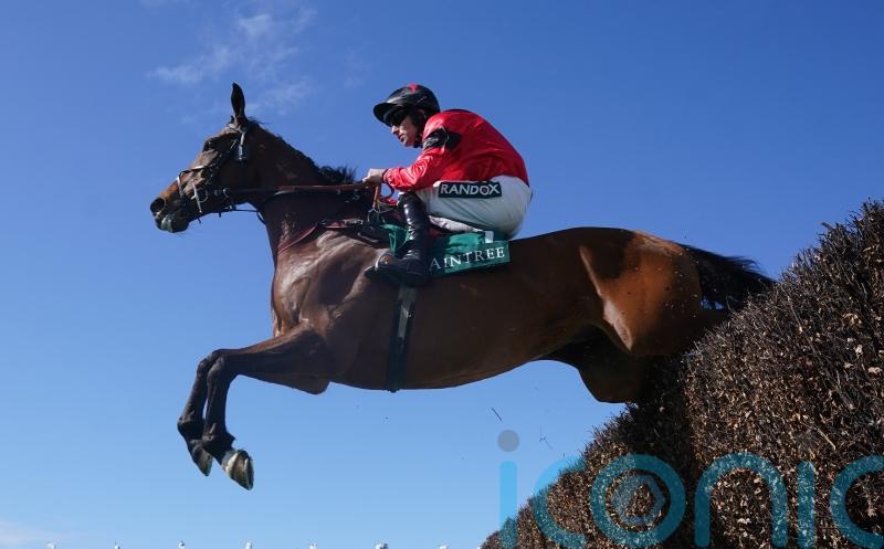 Ahoy Senor and Bravemansgame in good shape for Wetherby showdown