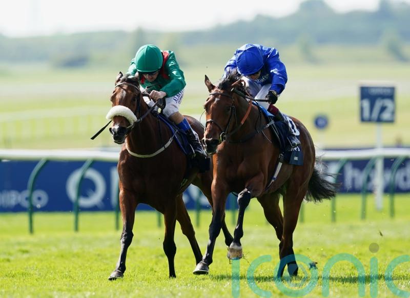 Mawj aiming to keep Bin Suroor&rsquo;s name up in lights