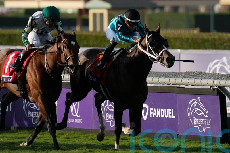 Live In The Dream goes down fighting in Turf Sprint