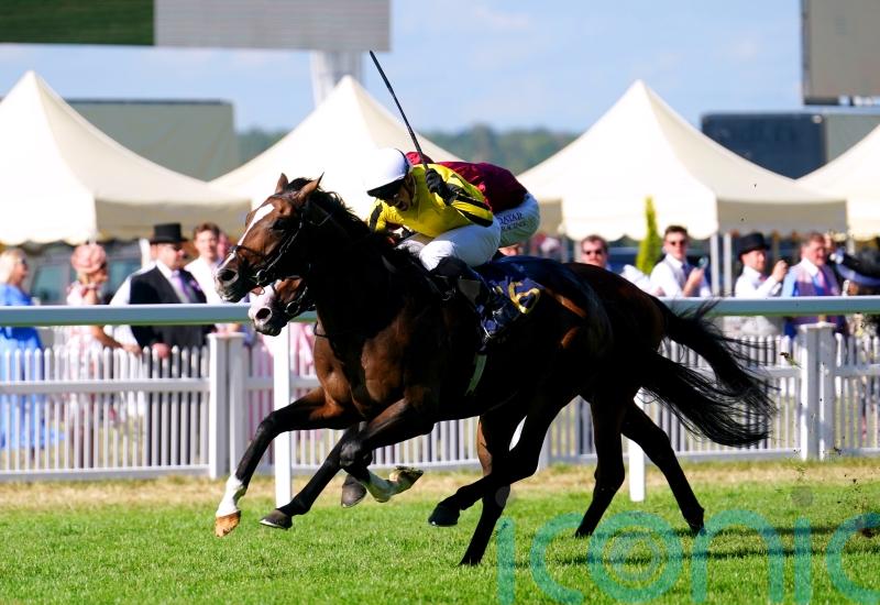 Burdett Road road impresses with winning hurdles debut