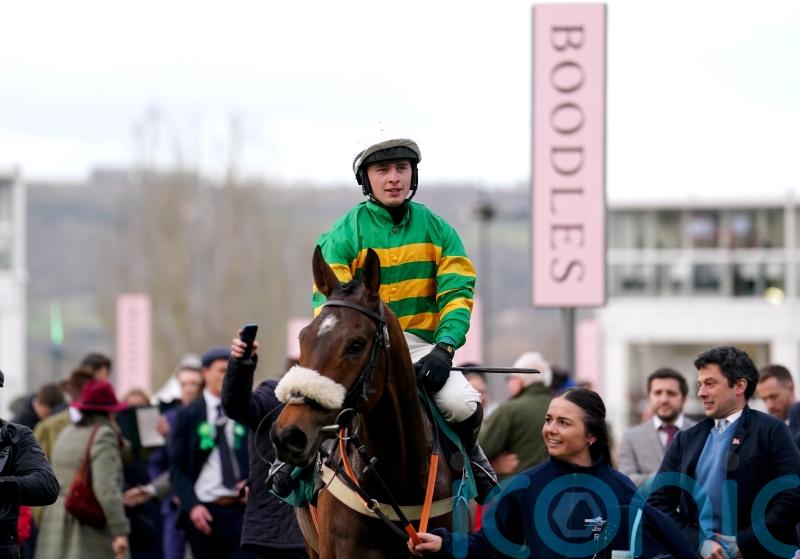 Iroko ready for chasing bow at Warwick