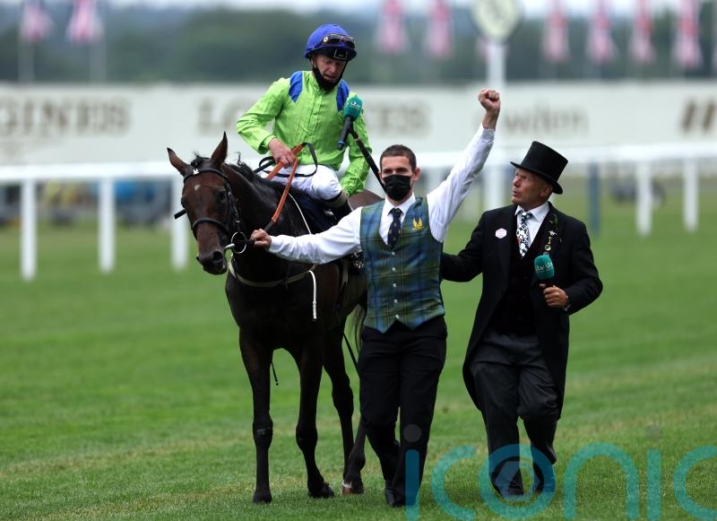 Subjectivist to stand at Alne Park Stud