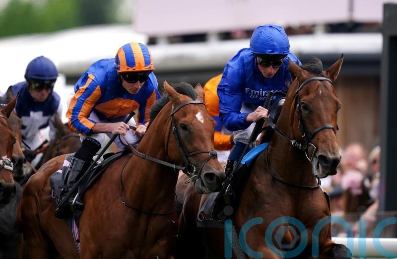 Local Dynasty seeking November Handicap riches