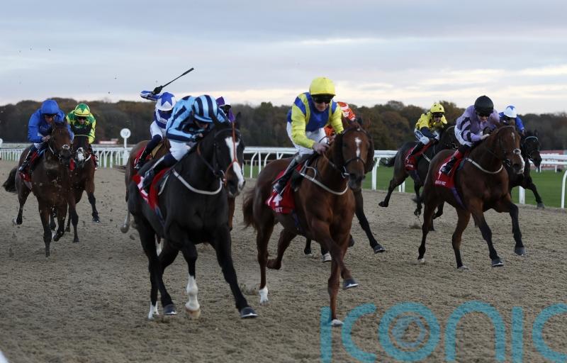 Onesmoothoperator swoops late to take November Handicap
