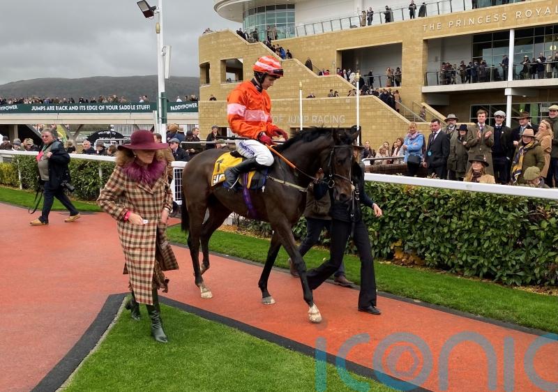 Jones plots Fred Winter route for the promising An Bradan Feasa