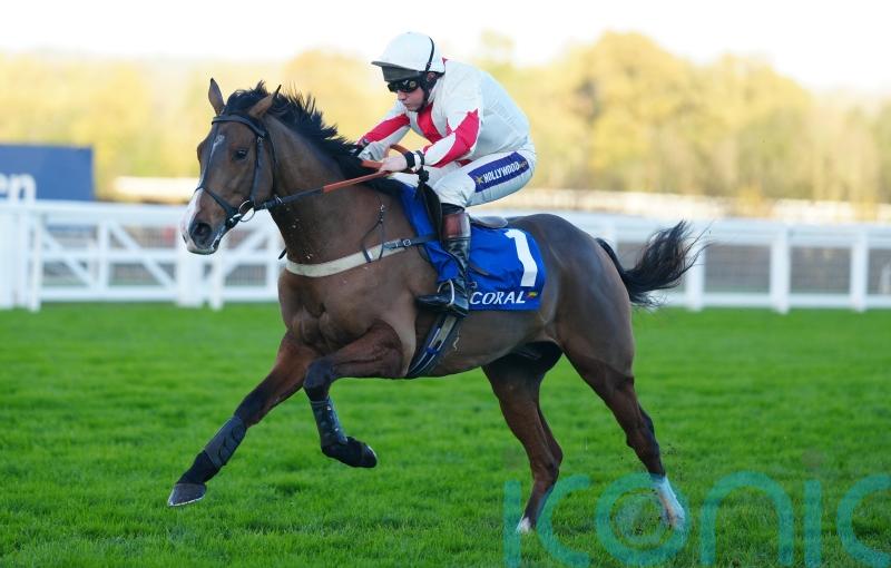 Goshen and Houlihan going for Coral Hurdle gold
