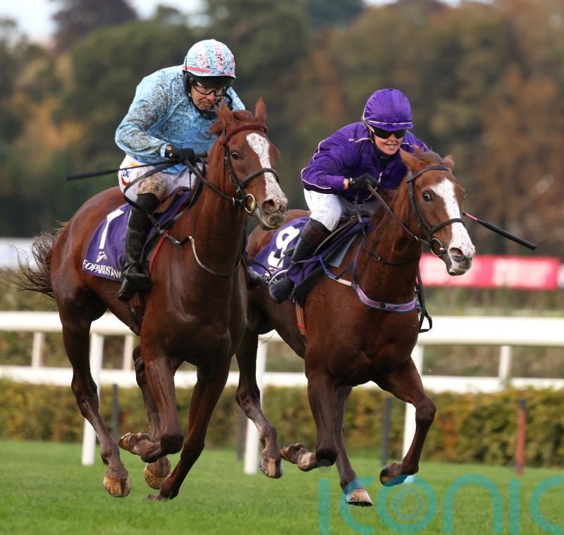 Slate Lane &lsquo;doing everything right&rsquo; ahead of Haydock test