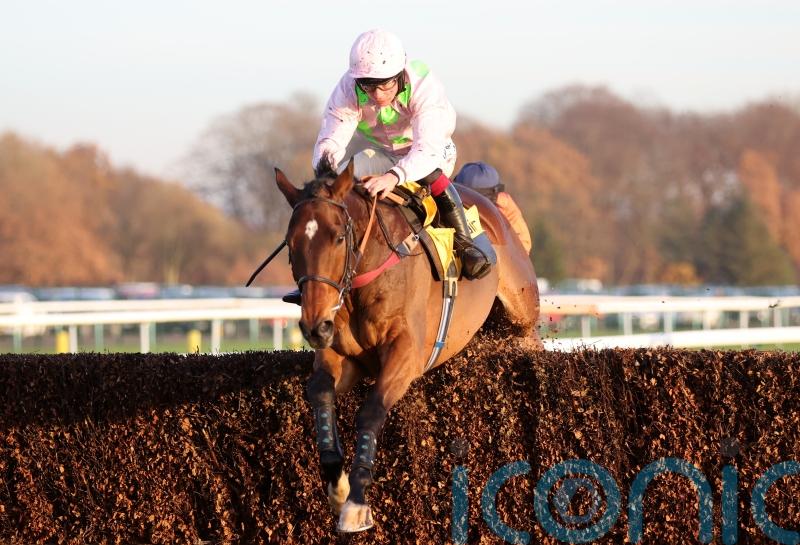 Royale Pagaille ruled out of King George bid