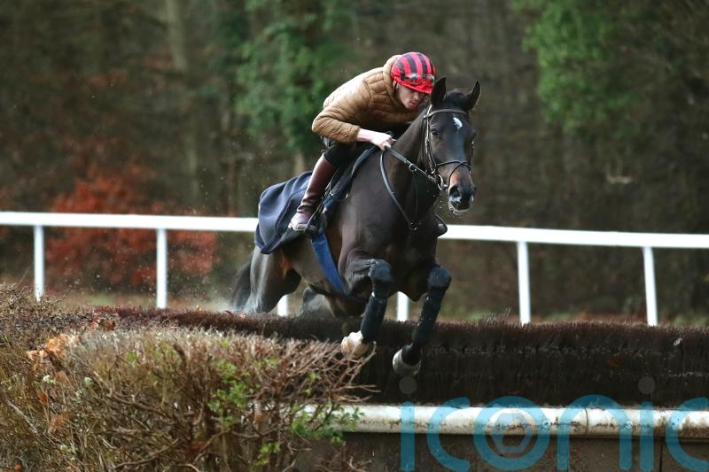 Noel George backing Francais to be Kempton star