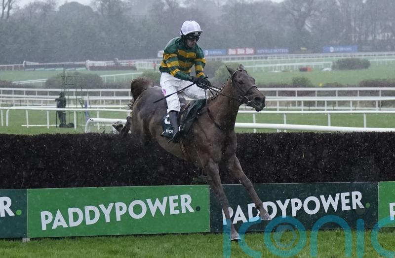 Dinoblue rewards supporters in Mullins clean sweep