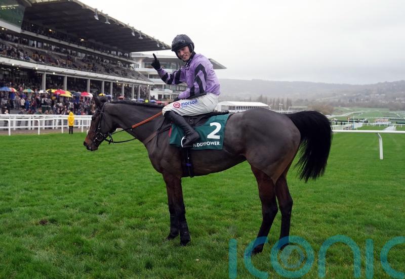 Stage Star back in the spotlight at Cheltenham