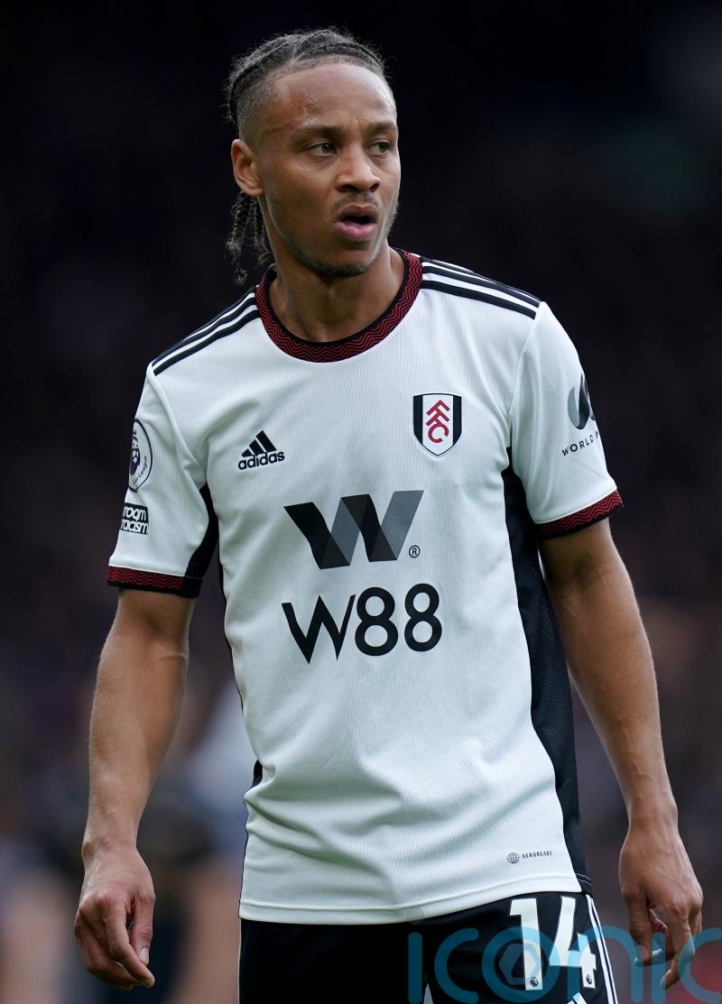 Bobby De Cordova-Reid stunner sees Fulham beat Rotherham in FA Cup