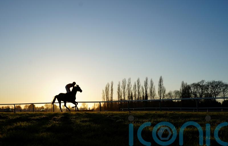 Fontwell called off early due to frozen track