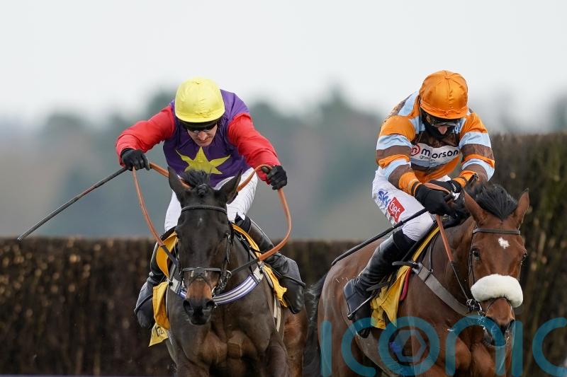 Dashel Drasher could take on Shishkin and Bravemansgame before Cheltenham