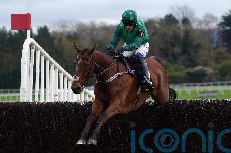 Leopardstown looks favoured for El Fabiolo in preference to rearranged Clarence House