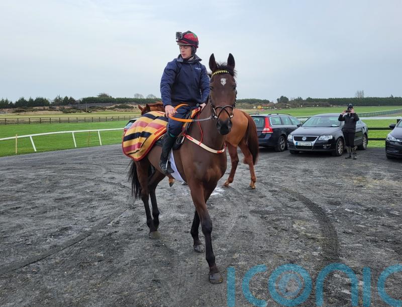 Fastorslow expected to take step forward in Irish Gold Cup