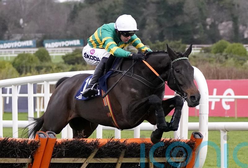 Exciting prospect No Flies On Him waiting for Punchestown