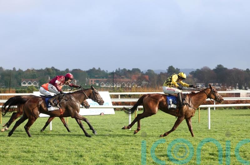 Dancing City springs surprise in DRF opener