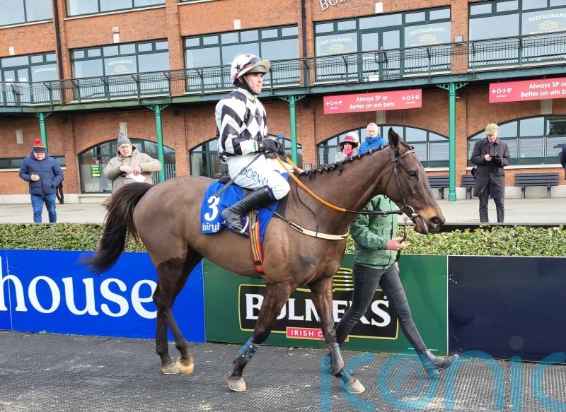 Velvet Elvis calls the tune at Fairyhouse