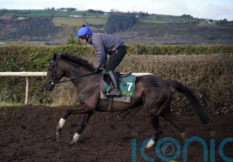 Galopin Des Champs primed for Gold Cup defence