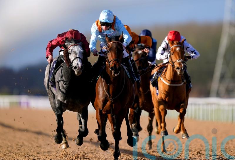 Globetrotter Brave Emperor all set for Qatar run