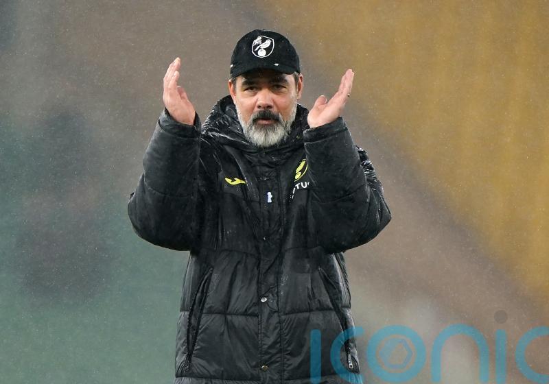 David Wagner says some Norwich fans &lsquo;should stay at home&rsquo; after win over Watford