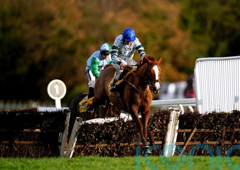 Morrison not shying away from Champion Hurdle challenge with Not So Sleepy