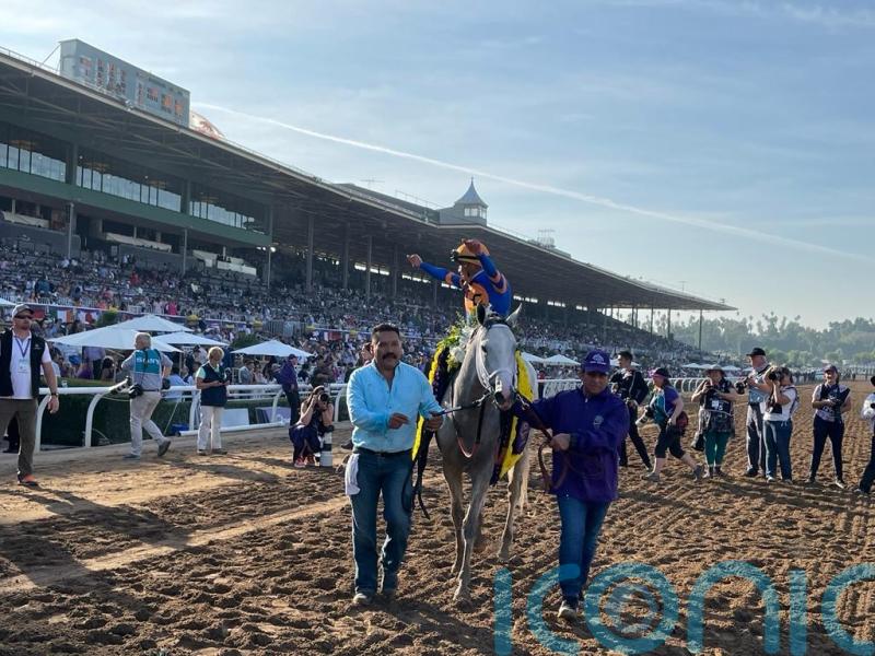 Dutrow bullish about Saudi Cup favourite White Abarrio