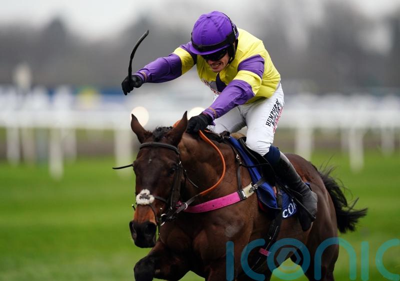 Nemean Lion heading for Champion Hurdle assignment