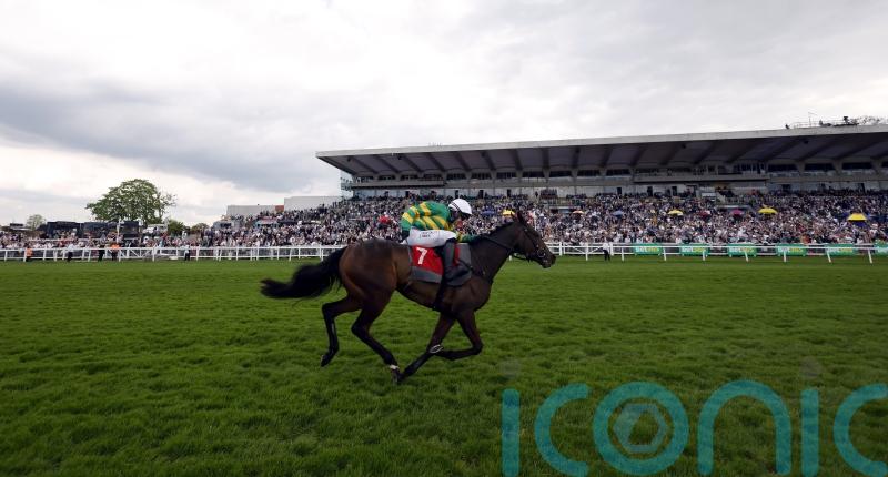 O&rsquo;Neill team backing Crebilly to be a Plate smasher