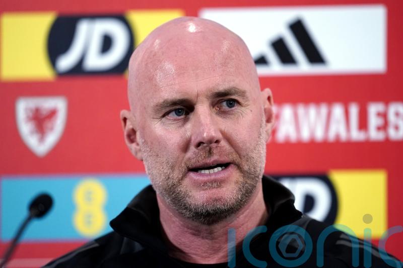 Rob Page says Wales need to be at their best to beat Finland in Euros play-off