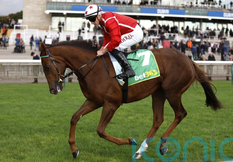 Shuwari ruled out of 1000 Guineas run