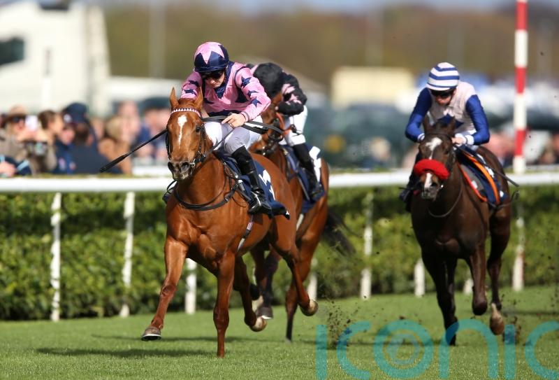 Zminiature claims big Brocklesby win for Cunha