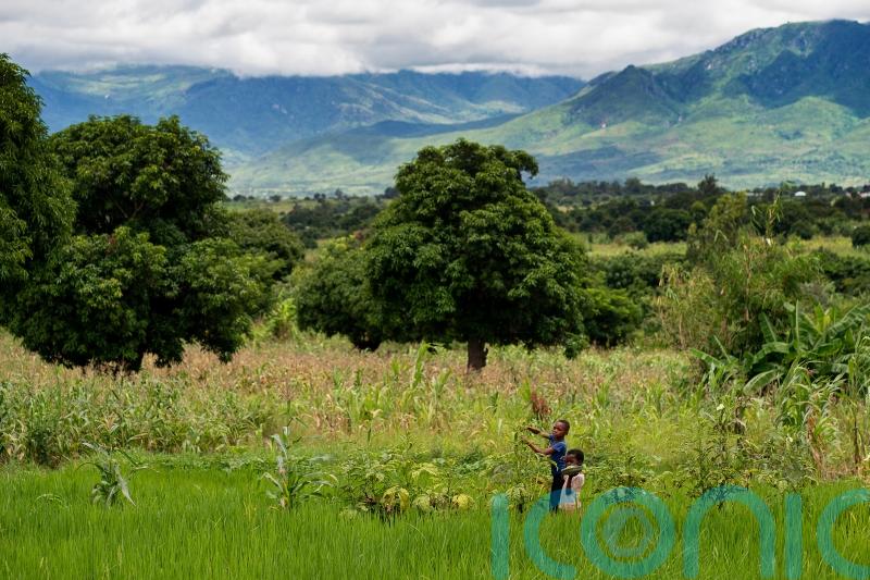 Irish aid worker: Malawi faces existential threat from climate change