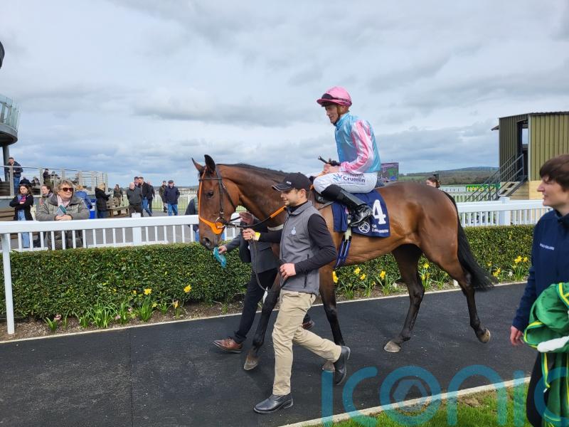 Purple Lily proves significant potential in Naas triumph