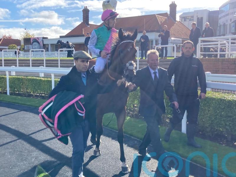 Regally-bred Kikkuli one to note in the Juddmonte ranks this year