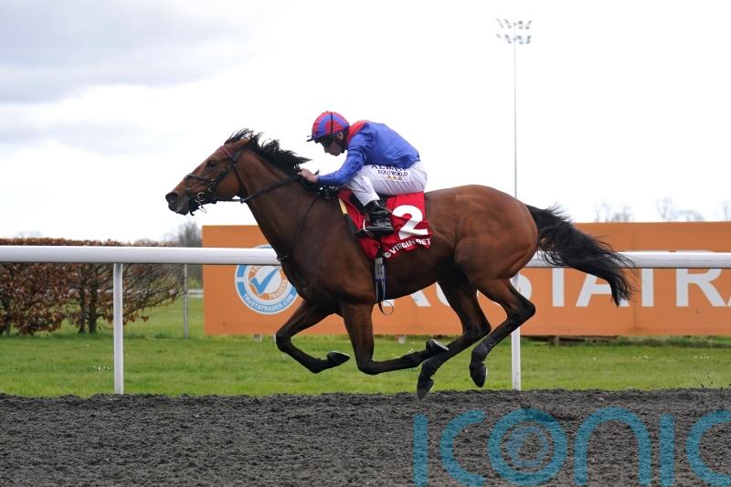 Dubai Honour makes most of Magnolia opportunity