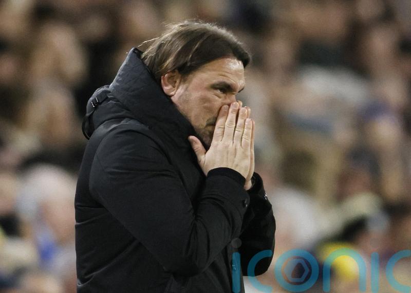 Daniel Farke: Leeds were pretty unfortunate with two penalty appeals turned down