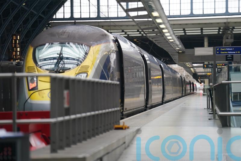 Australian racehorse found loose on train station platform