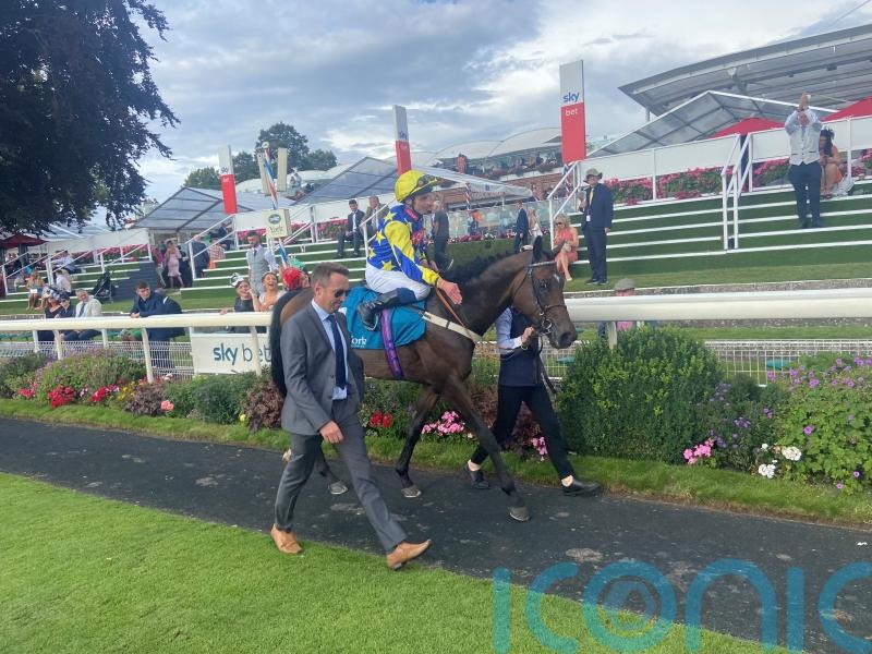 Astro King bidding to reign supreme in Earl Of Sefton