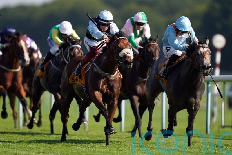 Shouldvebeenaring expected to sparkle in Abernant