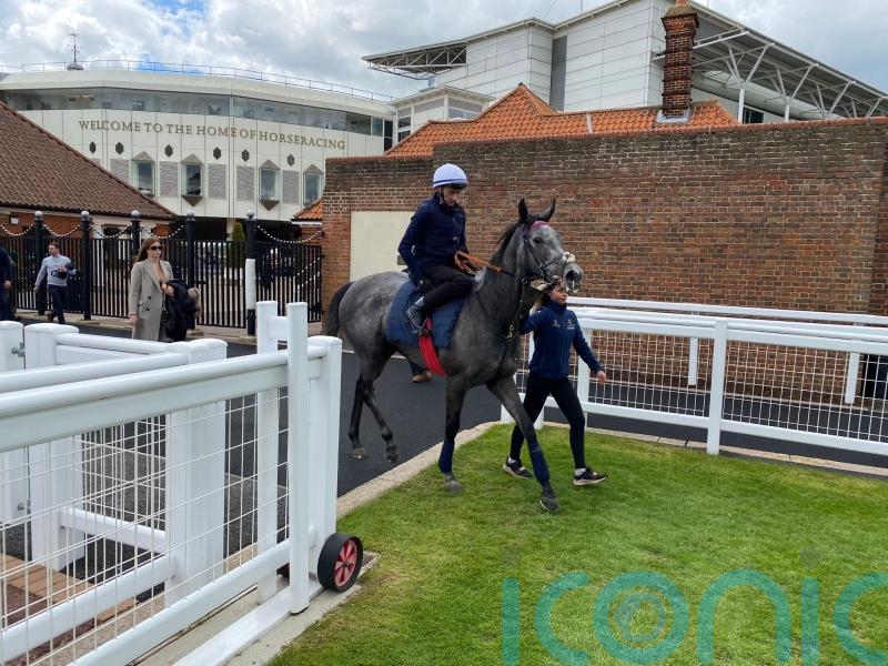 Fallen Angel looks divine in Newmarket gallop