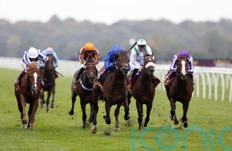 Deira Mile enhances Derby prospects with Windsor win