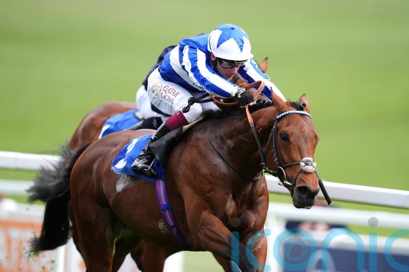 Next stop the Derby for Trial winner Bellum Justum